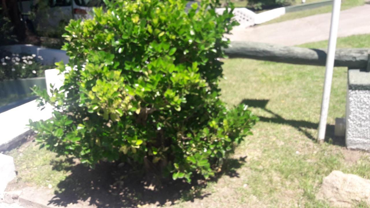 Complejo Oasis Del Lago Paradisiaco Apartamento